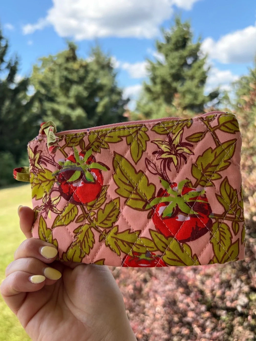 Vera Bradley tomatoes plant pink green mini pouch cosmetic zip bag travel case
